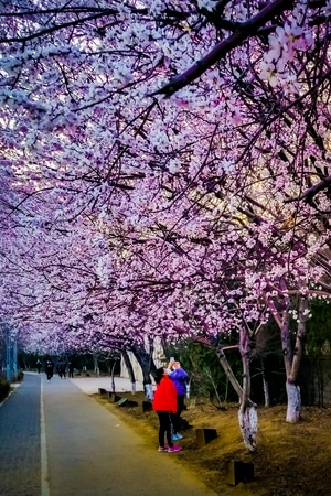 环境-城市-风光-唐山-风景 图片素材