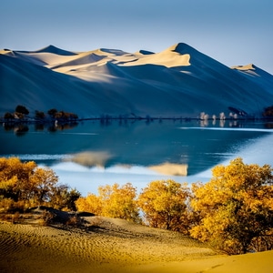塔里木-新疆-旅游-风光-风景 图片素材
