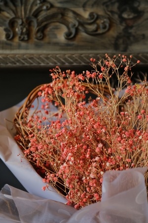 生活-静物-鲜花-干花-花 图片素材