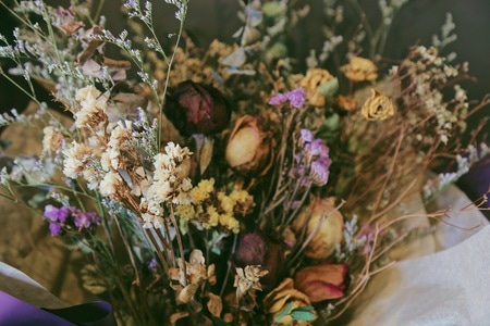 干花-鲜花-静物-生活-花 图片素材