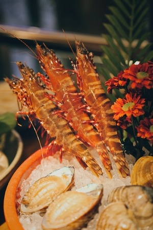 美食-火锅-食物-虾-鲍鱼 图片素材