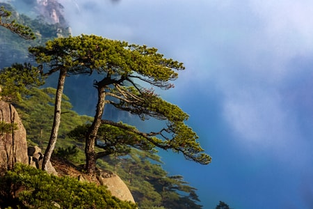 风光-自然-纪实-植物-天空 图片素材