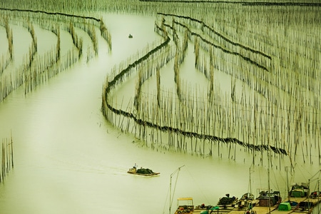 色彩-风光-海涂-自然-风景 图片素材