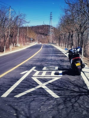 北京市-手机摄影-道路-树-树木 图片素材
