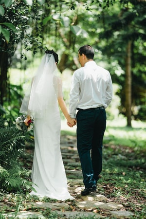 婚纱-西装-森林-新郎-夫妻 图片素材