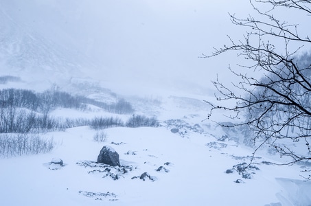 记录-吉林-风景-雪景-雪 图片素材
