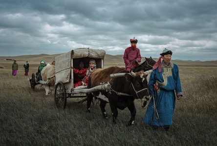 记录-内蒙古-马车-男人-男性 图片素材