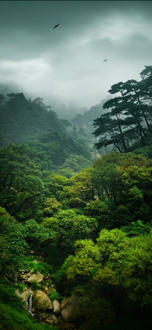 你好2020-壁纸-泰山-泰山-伞 图片素材