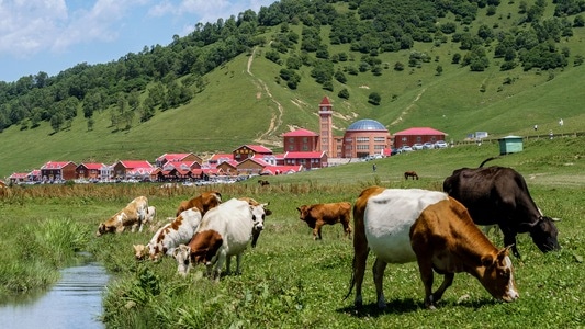 关山牧场-宝鸡-旅行-风景-草原 图片素材