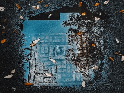 光影-街拍-记录-手机-水面 图片素材
