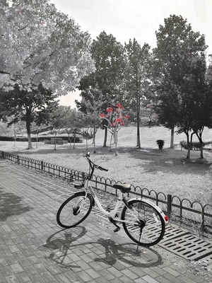看你的城市-街拍-手机-摄影-自行车 图片素材