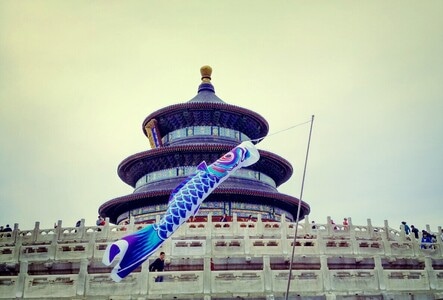 人文-旅行-祈年殿-天坛-鲤鱼旗 图片素材