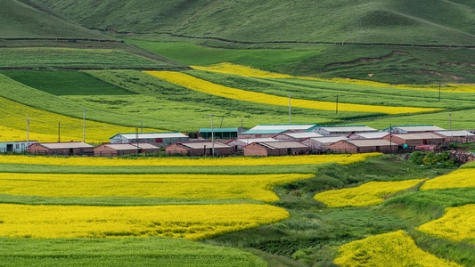 绿色地球-绿色-风景-生活-安静 图片素材