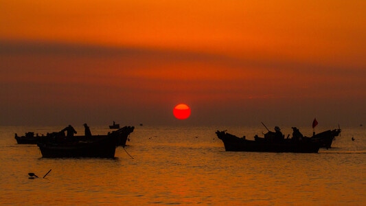 黄海日出-大拇指海边的海鸥-日出-日落-夕阳 图片素材