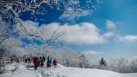 风光-长白山风光-生态环境-风景-雪景 图片素材