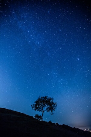 净月潭风光-风光-星空-生态环境-净月潭 图片素材