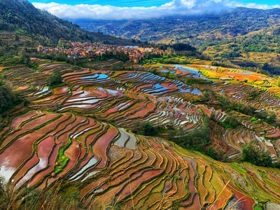 梯田-哈尼族-古村-老鹰嘴-风景 图片素材