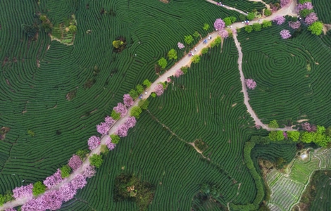 绿色地球-自然-风光-风光-风景 图片素材