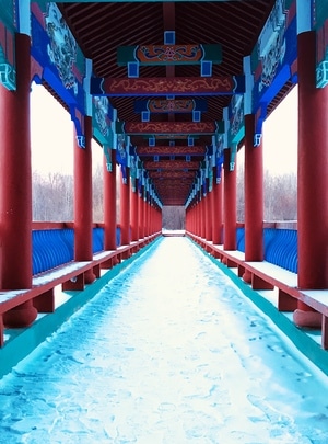雪景-随拍-道路-走廊-廊道 图片素材