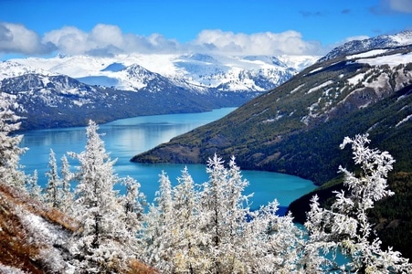 北疆-雪景-喀纳斯湖-旅行-湖泊 图片素材