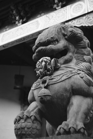人文-纪实-扫街-富士-黑白 图片素材