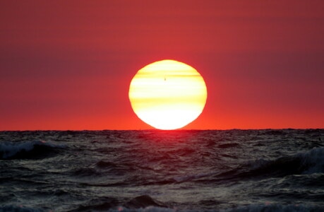 海上-日出-大太阳-红日-海鸟 图片素材