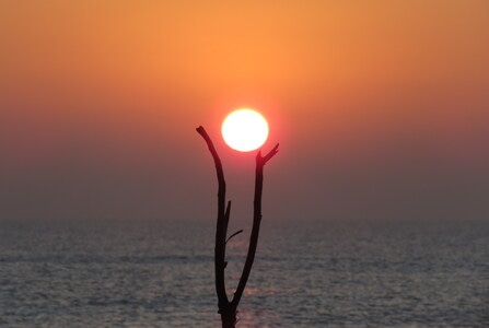 海上-日出-大太阳-红日-海鸟 图片素材