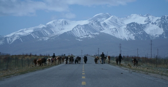 帕米尔高原-新疆-塔吉克-牧民-雪山 图片素材