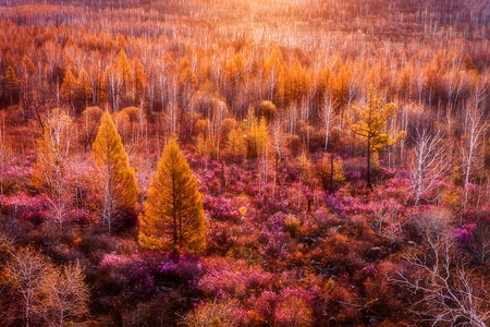 黑河-春-风景-风光-自然 图片素材