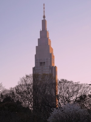 手机摄影-建筑摄影-建筑-东京-日本 图片素材