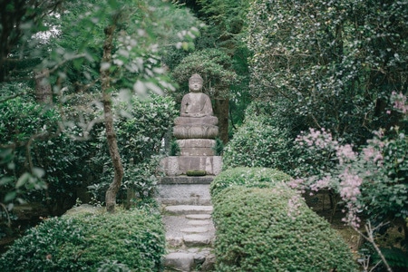 色彩-日本-京都-情绪-佛像 图片素材