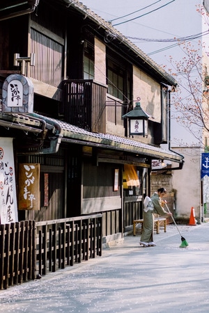 樱花-京都-旅行-人文-街道 图片素材