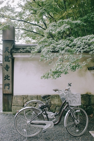 情绪-色彩-扫街-城市-日本 图片素材