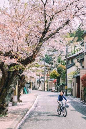 城市-日本-色彩-人文-旅行 图片素材