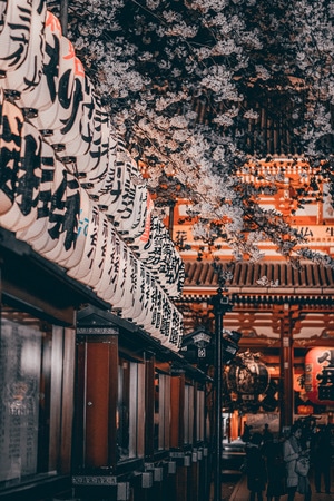 东京-日本-旅行-扫街-街道 图片素材
