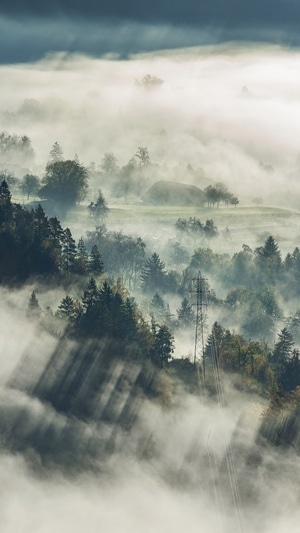 雾-早晨-日出-旅行-自然 图片素材