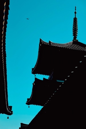 女孩-大华兴寺-在路上-影-深圳 图片素材