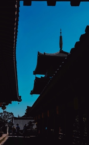 大华兴寺-在路上-影-深圳-大华兴寺 图片素材