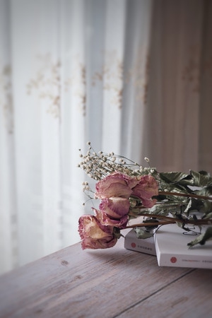 宅家美食-甜橙-日常生活-花儿-花 图片素材
