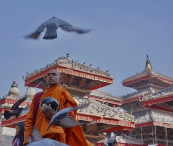 人文-尼泊尔-人像-色彩-寺庙 图片素材