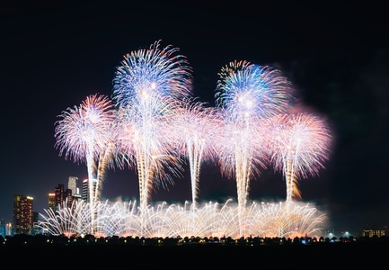 7日打卡挑战-夜景-长沙-烟花-橘子洲 图片素材