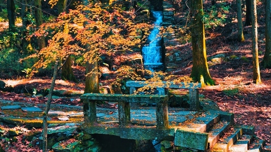 风光-旅行-庐山-桥-风景 图片素材
