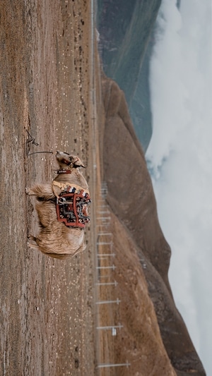 旅游-西藏-旅行-纪实-风光 图片素材