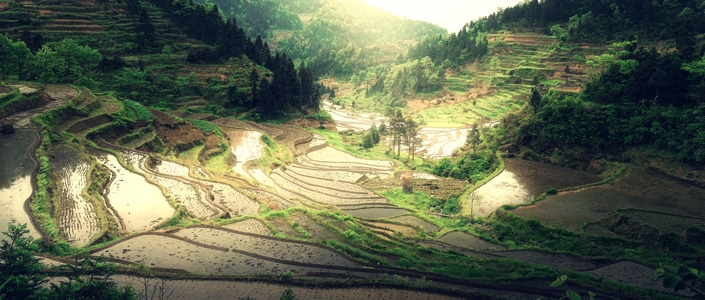 风光-旅行-风景-风光-梯田 图片素材