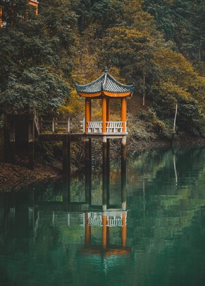四川-攀枝花-春天-瞬间-温暖 图片素材
