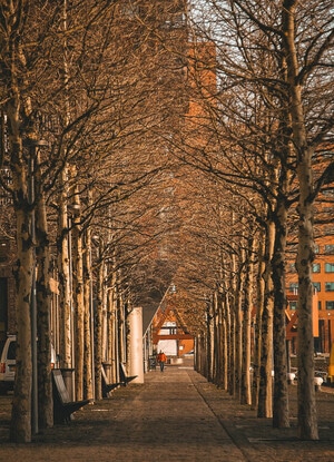 风景-鹿特丹-春天-电影感-旅行 图片素材