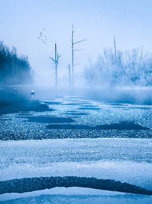 雾凇-风光-雪-冰-风景 图片素材