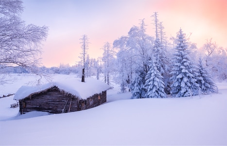 雪-风光-雾凇-建筑-风景 图片素材