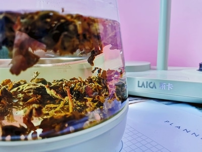 评测-种草-茶叶-茶水-饮品 图片素材
