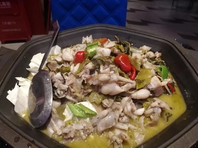 纪实-壁纸-美食-旅拍-蛙肉 图片素材